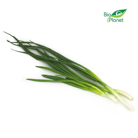 CEBULA ZE SZCZYPIORKIEM ŚWIEŻA BIO (około 0,15 kg)