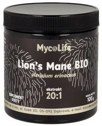 GRZYBY SOPLÓWKA JEŻOWATA (LION'S MANE) EKSTRAKT BEZGLUTENOWY BIO 100 g - PIĘĆ PRZEMIAN