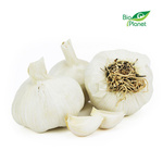 CZOSNEK ŚWIEŻY BIO (około 0,20 kg)