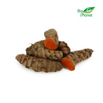 KURKUMA ŚWIEŻA (około 0,30 kg)