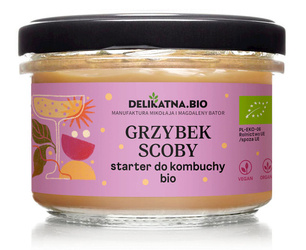 GRZYBEK SCOBY STARTER DO KOMBUCHY BIO 150 g - DELIKATNA (ZAKWASOWNIA)