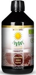 SUPLEMENT DIETY KONCENTRAT NAPOJU PROBIOTYCZNEGO KURKUMA IMBIR PIEPRZ BEZGLUTENOWY BIO 500 ml - JOY DAY