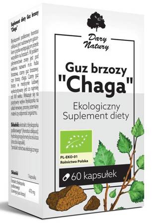 GUZ BRZOZY CHAGA BIO 60 KAPSUŁEK (470 mg) - DARY NATURY