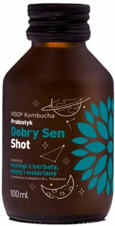 KOMBYCHA SHOT DOBRY SEN 100 ml - VIGO